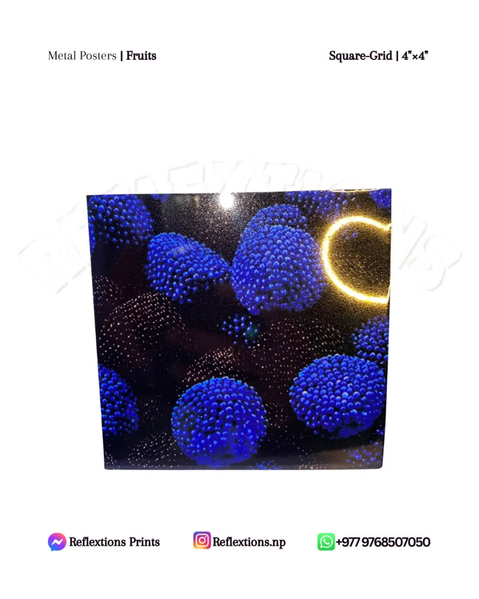 Square Grid-4"×4" | Metal Posters | Fruits