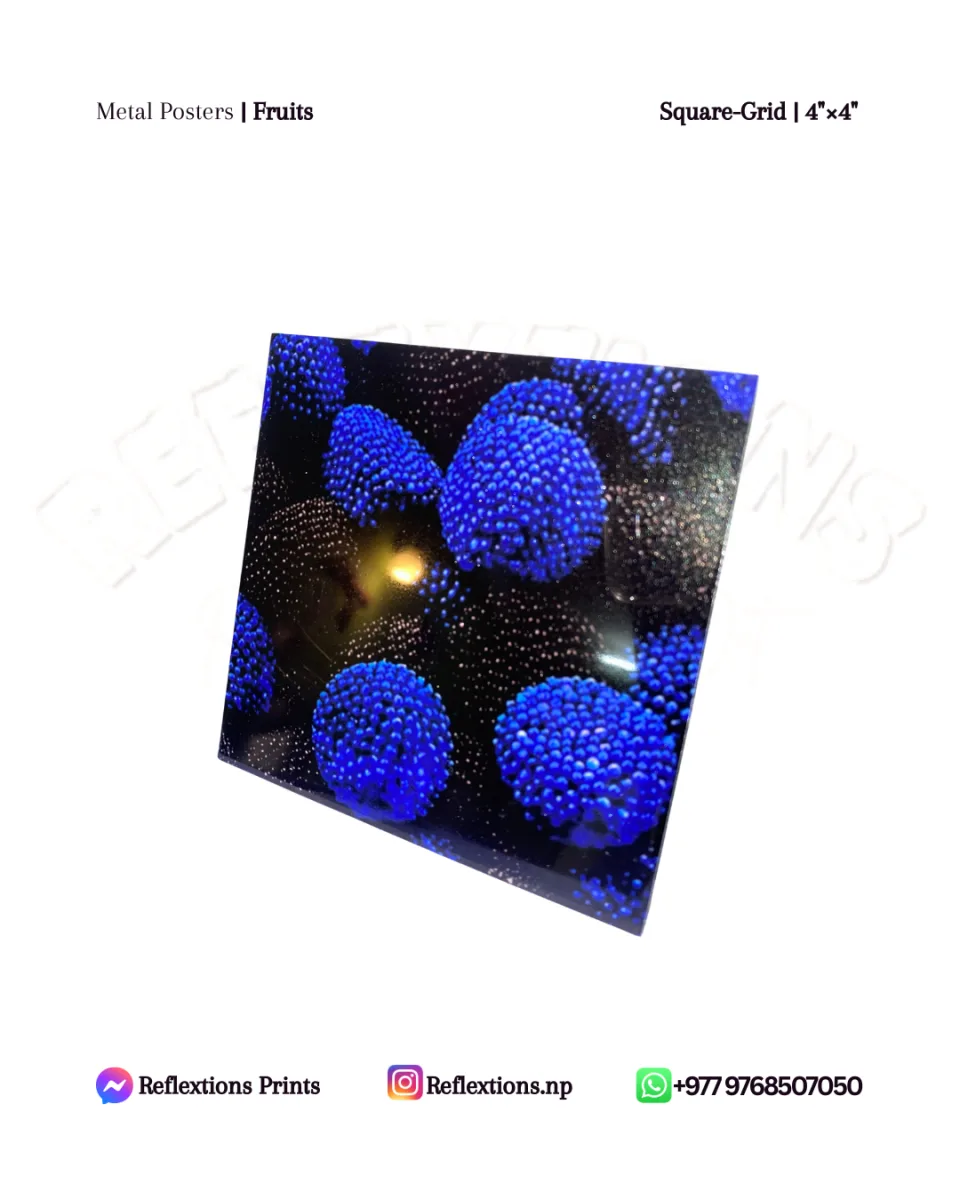 Square Grid-4"×4" | Metal Posters | Fruits