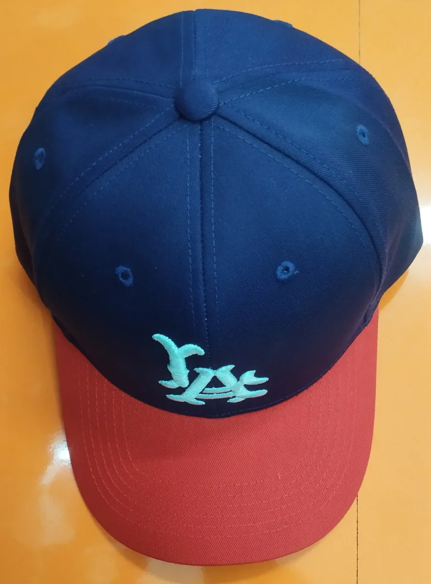 HipHop cap