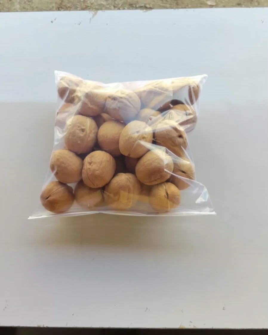 Premium Quality Walnuts – Crunchy, Nutrient-Rich Superfood (500 gm)