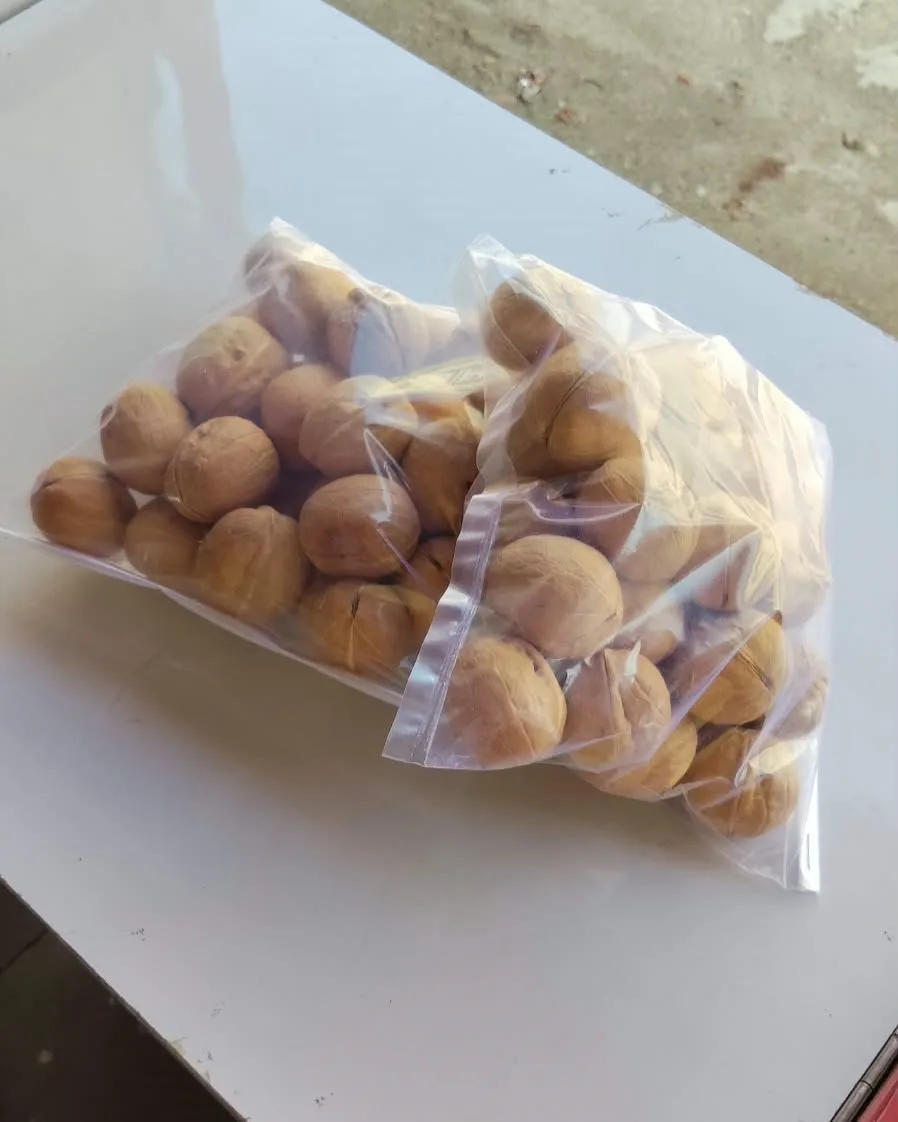 Premium Quality Walnuts – Crunchy, Nutrient-Rich Superfood (500 gm)